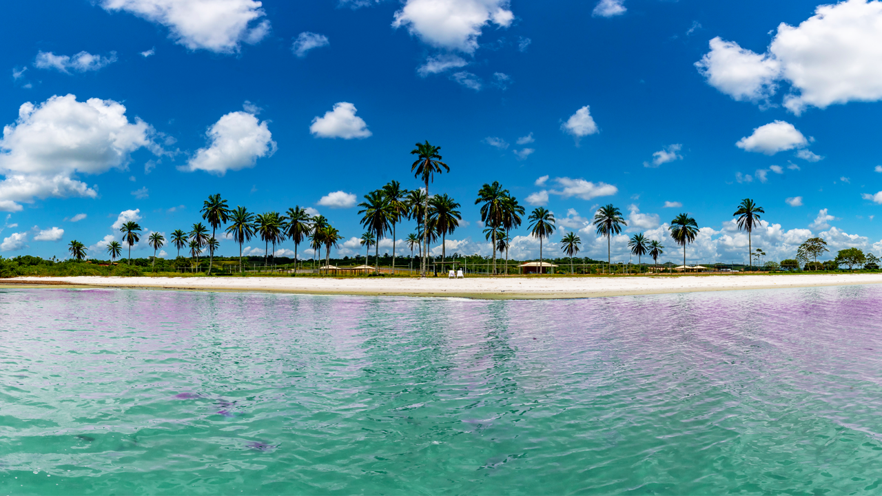 Vista panorâmica da praia de Itapema com coqueiros